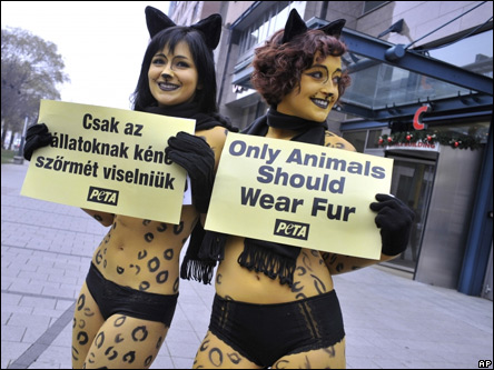 ������� ���������ۻ!