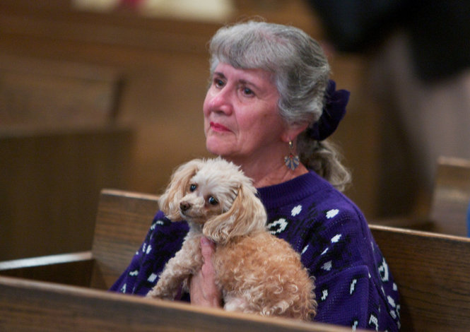 БЕЗУМИЕ ЕРЕТИКОВ БЕЗУМИЕ ЕРЕТИКОВ