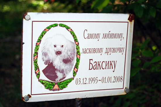 ���������� ��� ������� �������������� ������ʻ