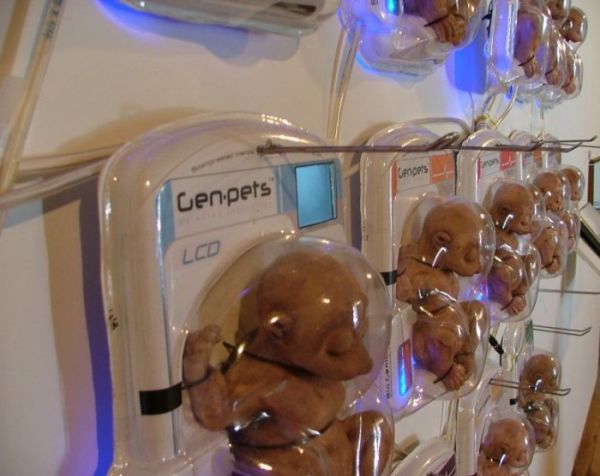 ������� ������ ���������