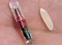 ��������� ������������ - ����������� ����������