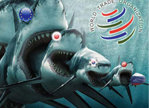 ��� � ��� ������� ���������� �������� ������������