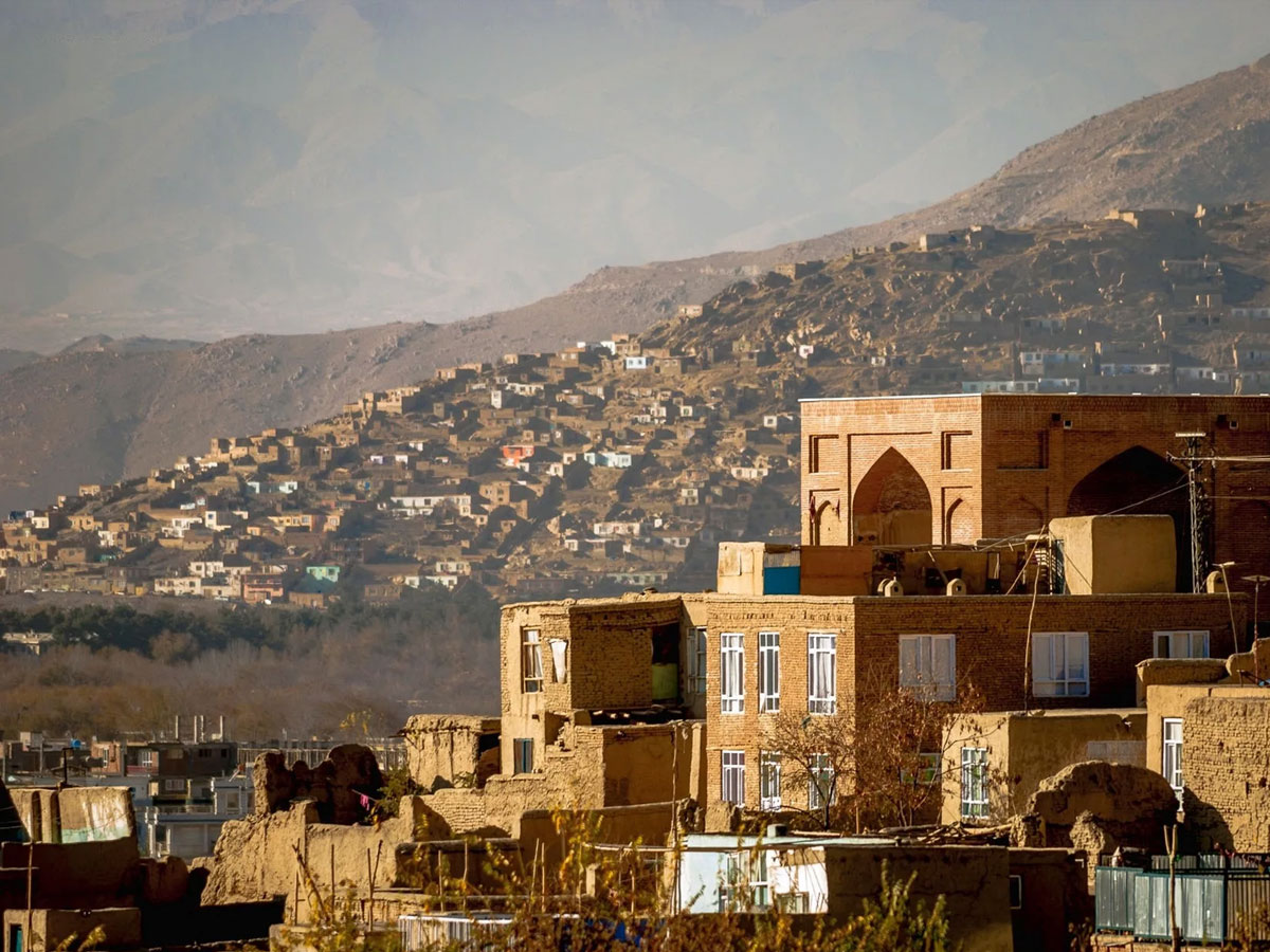 �������� ���������� �Ԡ����������� ������������� ������������ ����������� ����������