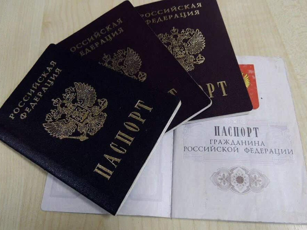 «Печеньки с предсказаниями» пообещали киевлянам нового президента и новый цвет паспорта  