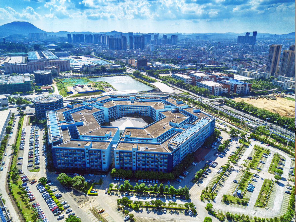 ������ ����� ������ ���������� � ������ ���������