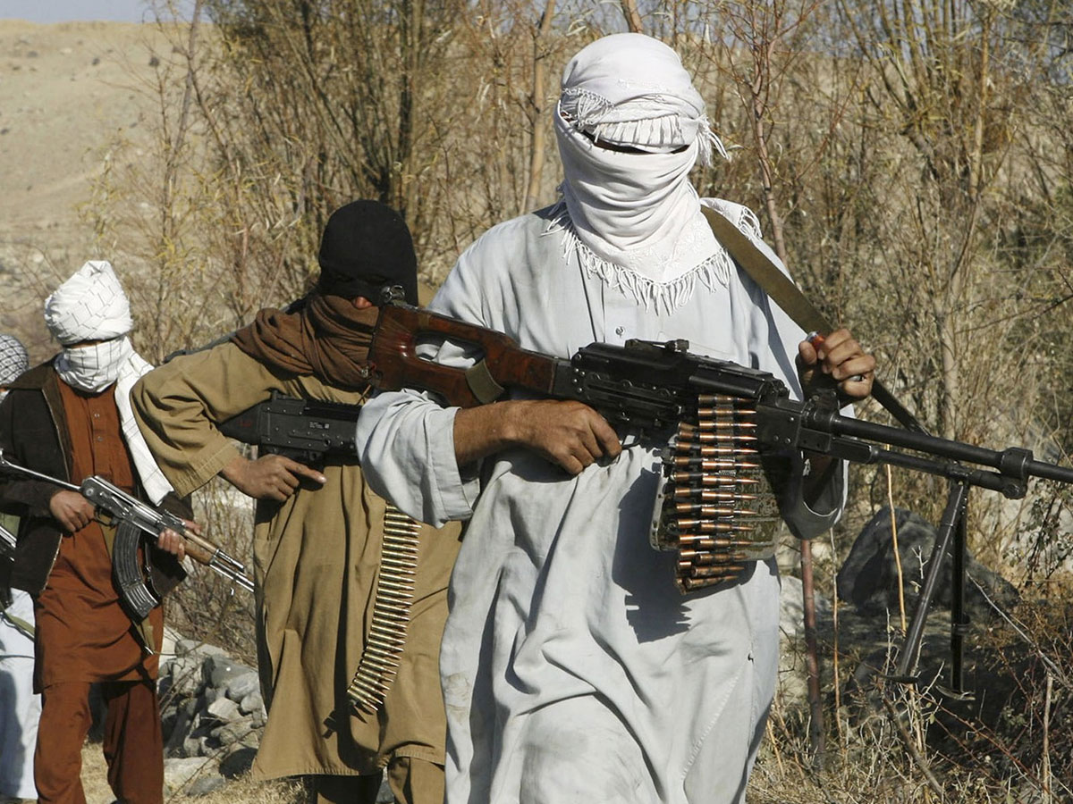 ���� ���������: ������ �������� �������������� ������������� ���� ����������������� ���������� �����